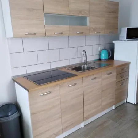 Apartment Ziga Vir